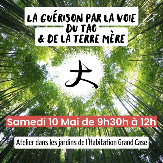 La Guérison par la Voie du Tao et de la Terre Mère (Atelier du 10/05/25)